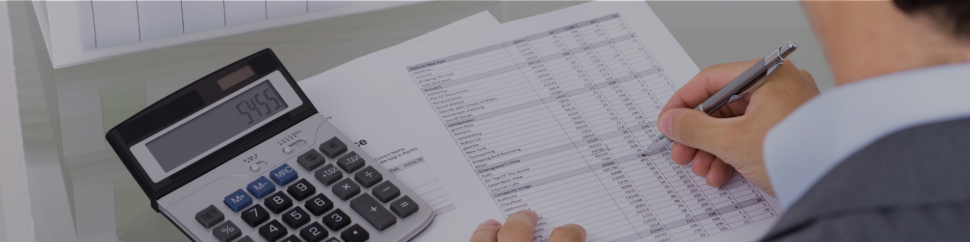 The Role of Public Accountants in the Digitalization Era