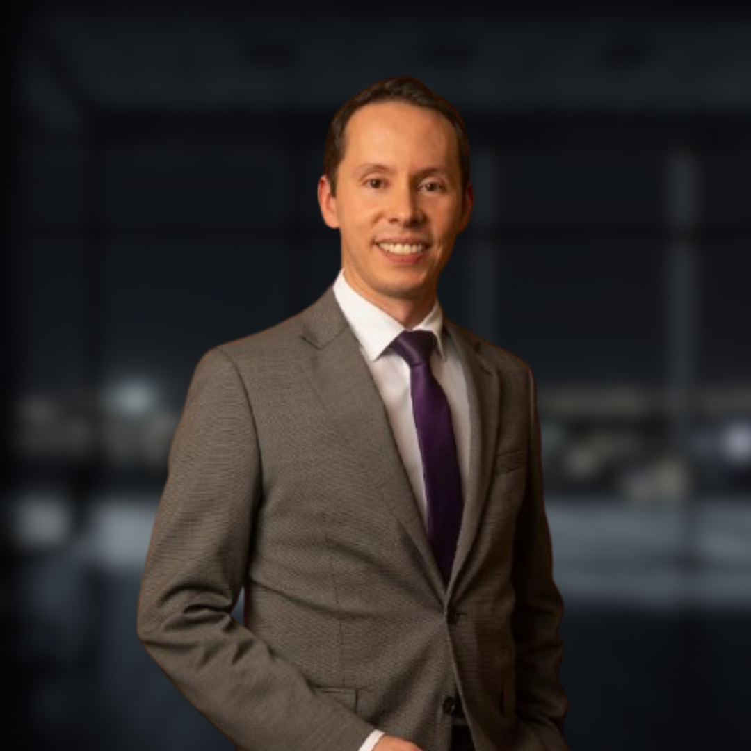 Alejandro Wilches Segovia